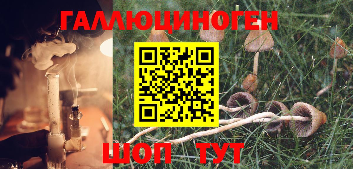 Галлюциногенные грибы MAGIC MUSHROOMS  Вход с VPN  Ногинск 